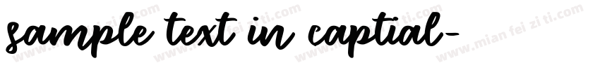 sample text in captial字体转换